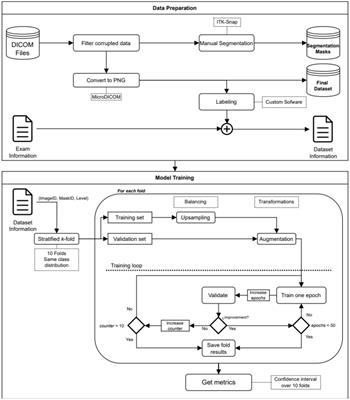 Automated segmentation and classification of supraspinatus fatty infiltration in shoulder magnetic resonance image using a convolutional neural network